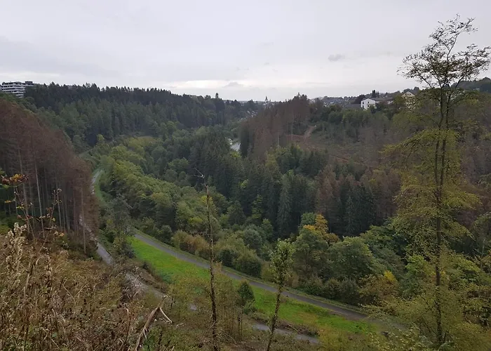 Altastenberger Apartman *