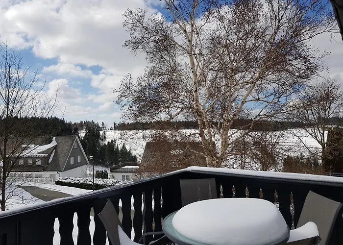 Altastenberger Apartment *